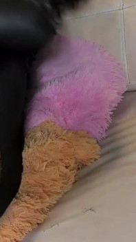 Dildo Fuck Dalam 4