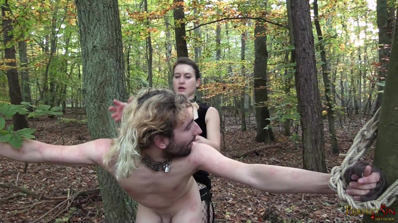 Perfect Sin Network: Kitty lubi gry Pani