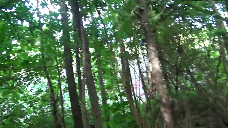 Teen clips and best blowjobs: 野外DPの乱交、欲求不満な女たちと