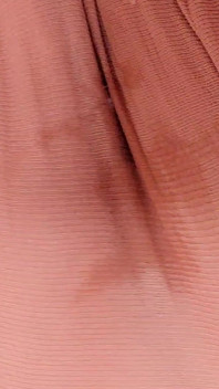 4503619