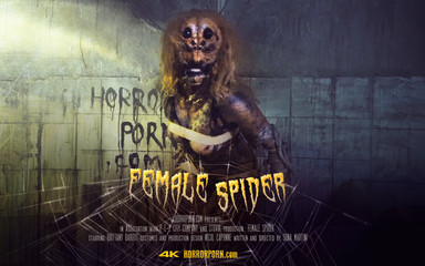 Horror porn: 恐怖色情17：女蜘蛛