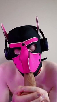 This Could Be Your Cock in Puppy's Mouth