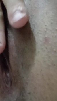 Alisando a Perereca