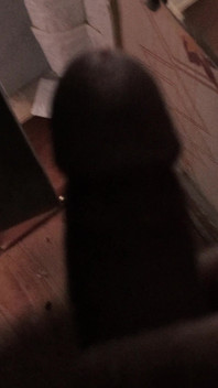 Meia-irmã e vibrador preto.