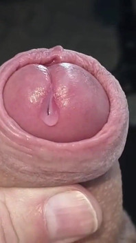 Quarta-feira Wank Club