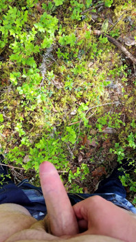 Horny in Forest