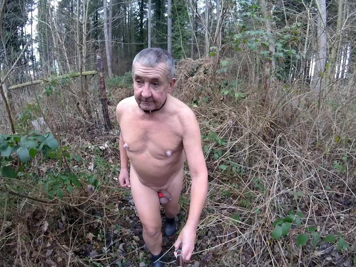 Andy: パート2 ウォーク2025