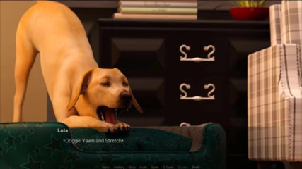 Visual Novels: Verbundene teil 15