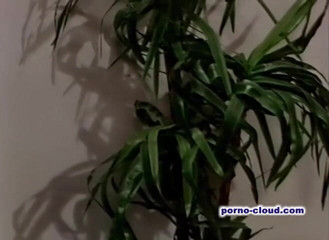 Porno Cloud: The house of sex stars