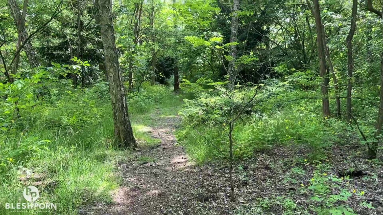 bleshporn: 夏がベルリンにやってきて、ティムが興奮する