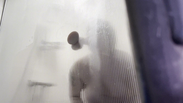 DWHOREKIN: Duşta Yengenizi Mat Et