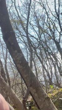 Anal Na Floresta Parte 1