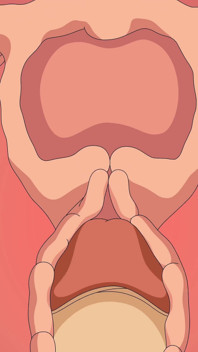 ONE PIECE HENTAI NAMI VIDEO COMPLETO