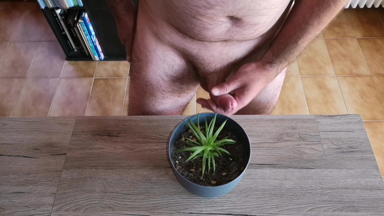Cicci77: Cicci77 füttert ihre pflanzen mit pinkeln und sperma, um sie üppig...