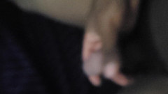 Martin55778: První skončování