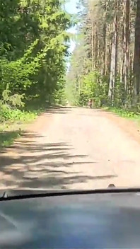 A Married Slut Got Lost in the Forest, Helped Her Out and She Agreed to Cheat on Her Husband
