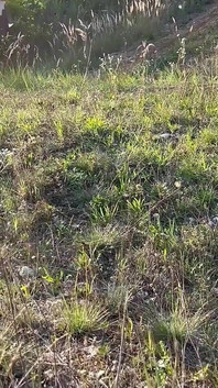 हॉट डिस्कवरी के परिणामस्वरूप 69-ing का फफोलेदार सत्र होता है!