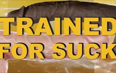 Trained for Suck