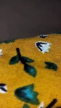 La bengalese scopa