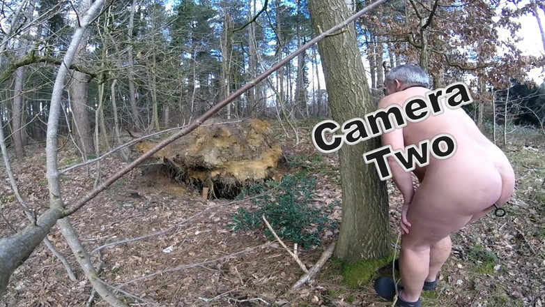 Andy: Teil 2 sechster spaziergang