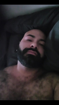 Bear Alone