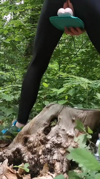 Basikal di Hutan
