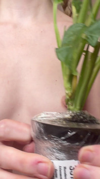 Nude Plant Haul