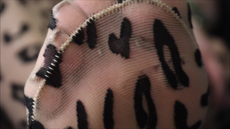 Haydee Rodriguez: Tryon en collants léopards