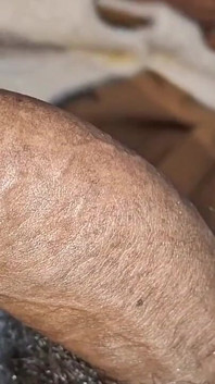 Neighbor's Sister-in-law Sucked the Dick