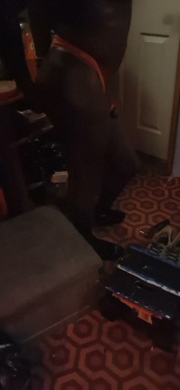 Sexy Dark Trans