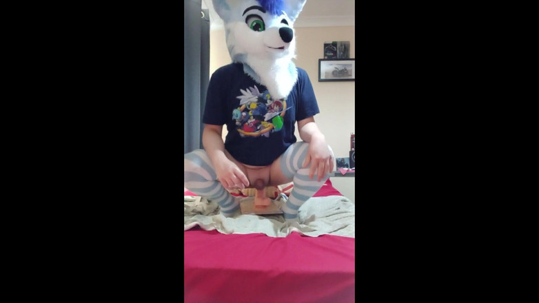BlueHuskyuwu: Femboy Furry Pup brinca com seu grande brinquedo