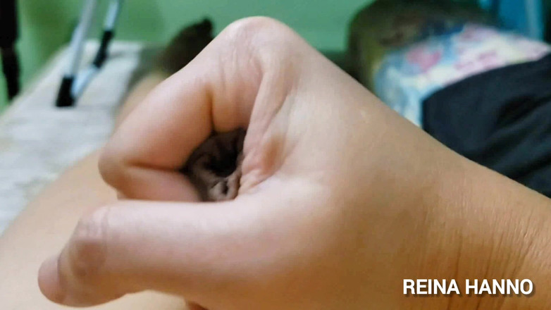 Reina Hanno: Yakın çekim yarak mastürbasyonu ve boşalma