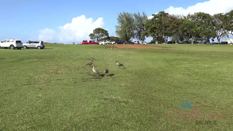 ATK Fans (Girlfriends): Virtual vacation in Hawaii with Elena Koshka part 1