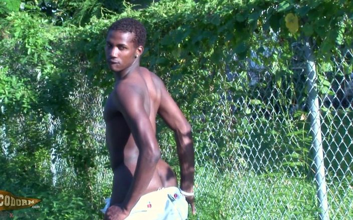 CocoDorm: Sexy Sylk