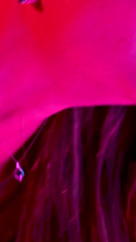 Tiffany leiddi gibt an