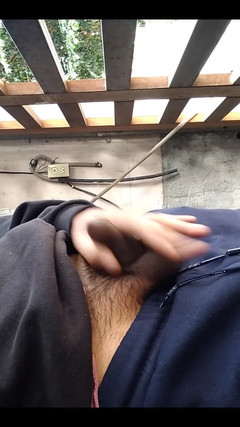 AlexAlejandro13: 从一天到天开始