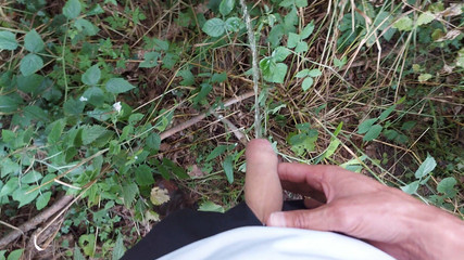 SteveSmokeHolland: Venkovní zábava # 6