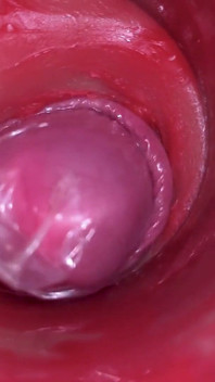 Camera in poesje: krachtig sperma in poesje! Beste interne asmr
