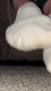 Zerżnięta Skarpetka Fetysz Wiggling Toes POV