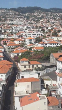 Sonnige Madeira mit Sapphira