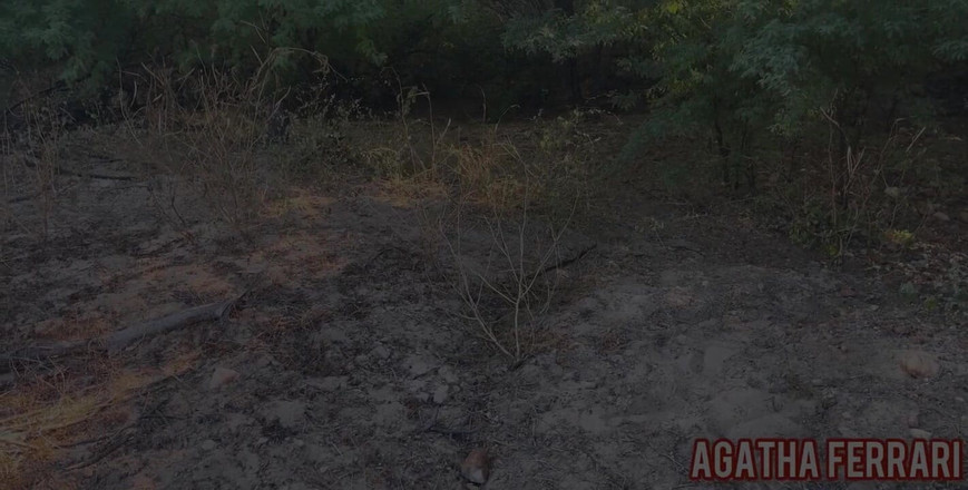 VictorHugo: Met toute la bite dans la chatte