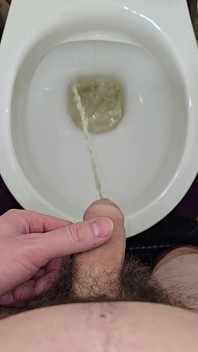 I Pee Standing up Into the Toilet Right After Coming Home From Work