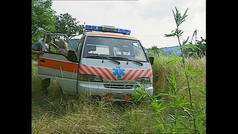 Hard Accademy: Apri le gambe troia film