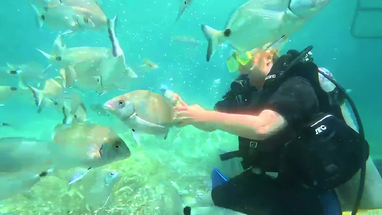 JessieHH: Підводне плавання в Туркіє! Безкоштовний