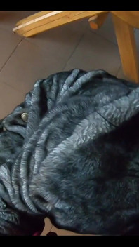 Muie, futai și spermă jucându-mă cu prietenii mei impotenți ai soțului meu în timp ce poartă o haină de blană Ep 240