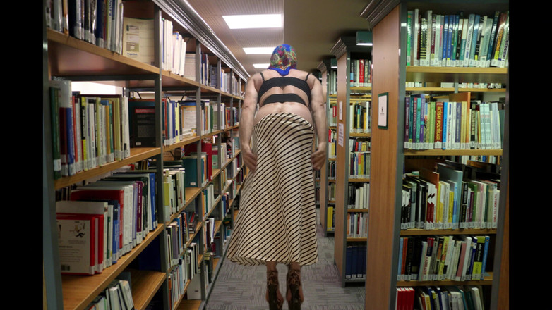 cd_aysemmm: SEX in der bibliothek