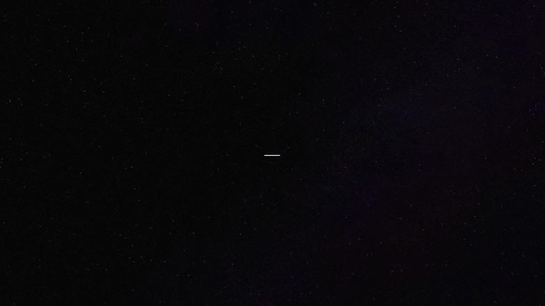 Aaexperiencesltd: Parte 1- Oso director y un alumno travieso