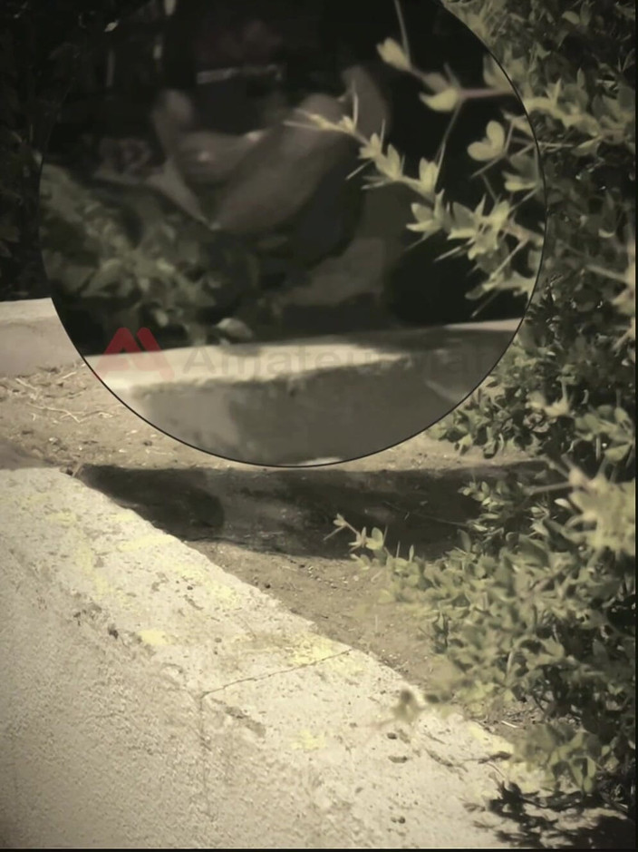 AmateurMates: Ragazzo amatoriale succhia un ragazzo che ha trovato masturbandosi in...