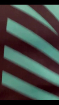 2987673890.mp4