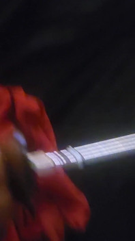 This Is Gateway Dick Right Here